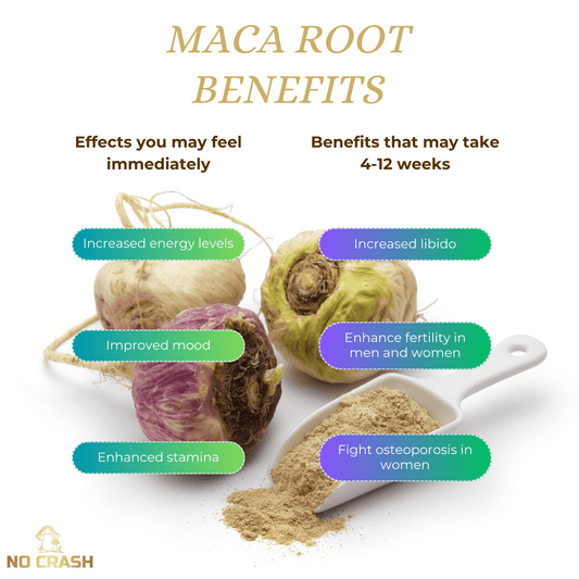 Unveiling the Power of Maca Root: Elevate Your Wellness Journey - No Crash